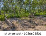 Zippel Bay is a state park in far north Minnesota on the Canadian Border and Lake of the Woods