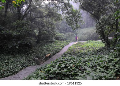The zizag footpath in  the tropical mountain valley.,guangdong,south china.