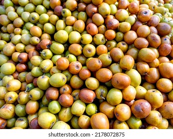 A Ziziphus mauritiana, also known as Ber, Chinee Apple, Jujube, Indian plum and Masau is a tropical fruit tree species belonging to the family Rhamnaceae.