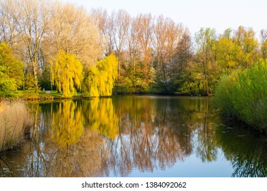 ZOETERMEER, NETHERLANDS - APRIL 15,2019:Fantastic reflections seen on the Westerpark lake close to Zoetermeer city