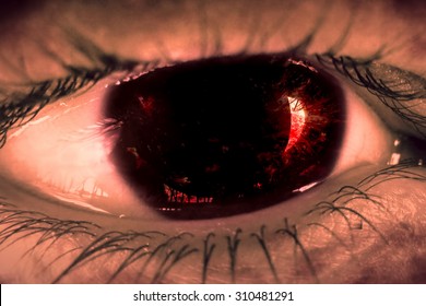 Zombie Eyes Images Stock Photos Vectors Shutterstock