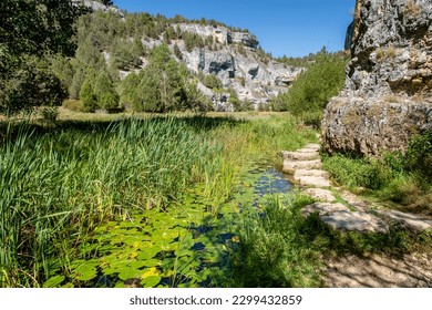Zona de reserva Castillo Billido, Parque Natural del Cañón del Río Lobos, Soria, Comunidad Autónoma de Castilla, España, Europa