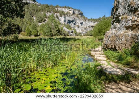 zona de reserva Castillo Billido, Parque Natural del Cañón del Río Lobos, Soria, Comunidad Autónoma de Castilla, Spain, Europe