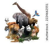 Zoo animals on a white background. giraffe, lion, elephant, monkey, panda, iguana, rabbit and others.