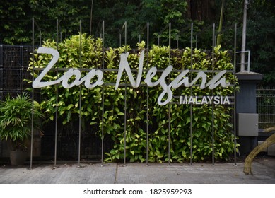 Zoo Negara Hd Stock Images Shutterstock