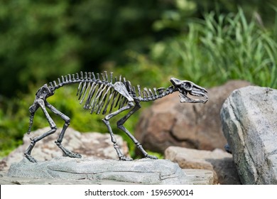 Zoo Ostrava, Czech Republic - September 8, 2019: Skeleton Of Horse Eohippus As Very Nice Model. Prehistoric Skeleton.