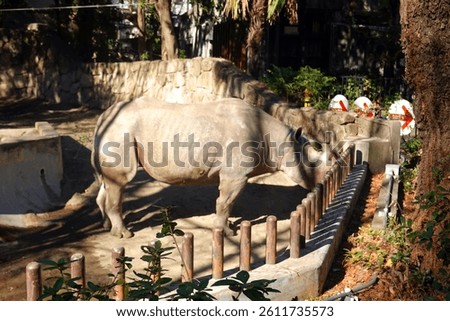 Zoo scenery on a clear day in Ueno, Tokyo