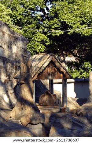 Zoo scenery on a clear day in Ueno, Tokyo