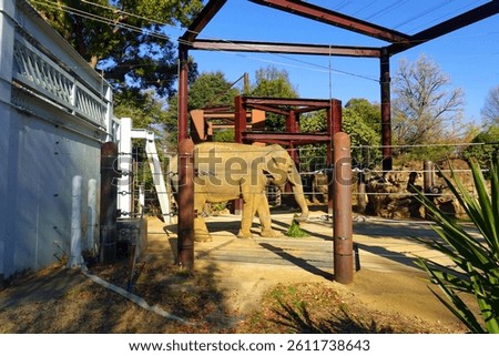 Zoo scenery on a clear day in Ueno, Tokyo