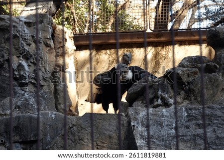 Zoo scenery on a clear day in Ueno, Tokyo
