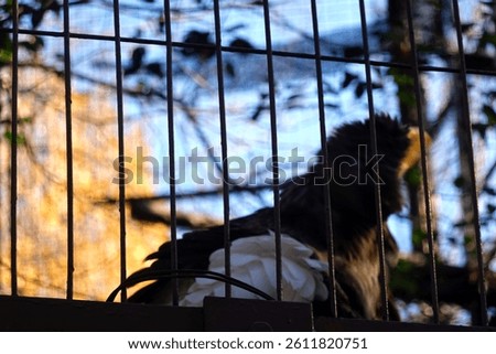 Zoo scenery on a clear day in Ueno, Tokyo