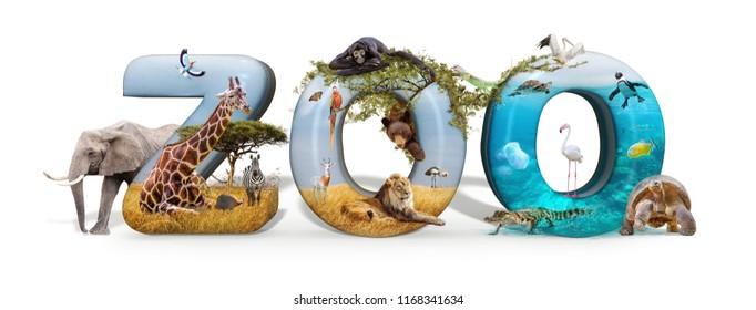 Zoo word in 3D with African nature wildlife animals and aquarium conceptual scene  - Shutterstock ID 1168341634