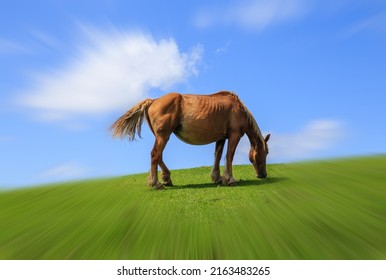 A Zoom Blur Effect Photo Of A Chestnut Horse Grazing In A Green Mountain Meadow Under A Blue Sky With White Clouds.