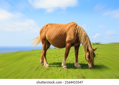 A Zoom Blur Effect Photo Of A Chestnut Horse Grazing In A Green Mountain Field Under A Blue Sky With White Clouds.