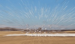Zoom Blur Of A Flock Of Snow Geese