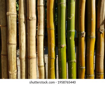 Vertical Bamboo Wall 图片 库存照片和矢量图 Shutterstock