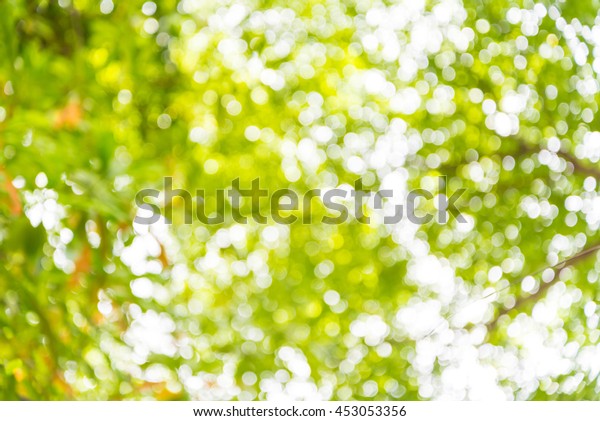 Zoom Shot Out Focus Tree Background Stock Photo Edit Now
