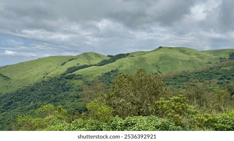 Zpoint in Chikmagalur is a scenic hilltop destination offering stunning views, lush greenery, and trekking trails.It's perfect for nature lovers seeking tranquility and adventure in the Western Ghats. - Powered by Shutterstock