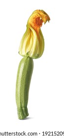 Zucchini With Flower