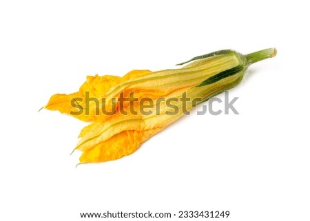 Similar – Image, Stock Photo Zucchini blossom Blossom