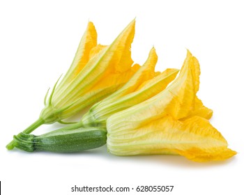 Zucchini Flower Images Stock Photos Vectors Shutterstock