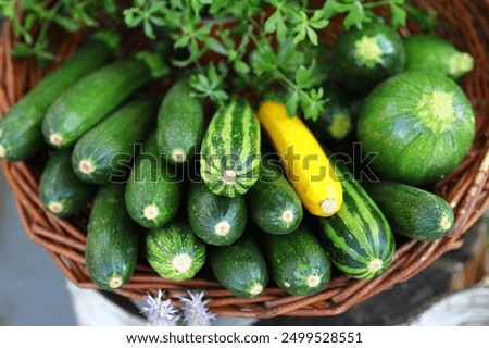 zucchini, green, green and yellow zucchini, colorful vegetables, healthy eating, keto, diet, health, microbes, bright color, background, market, zucchini at the market, bright background with vegetabl