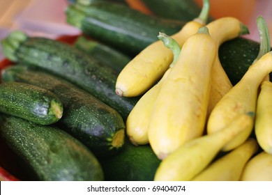 Zucchini & Summer Squash