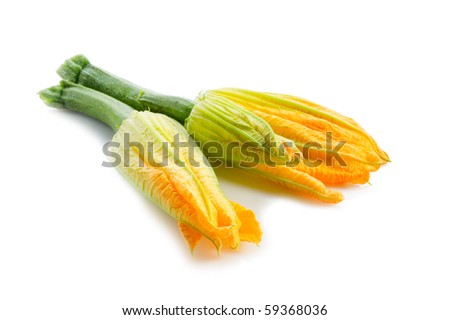 Similar – Image, Stock Photo Zucchini blossom Blossom