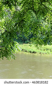 Zumbro River On Camp Grounds