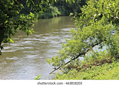 Zumbro River On Camp Grounds