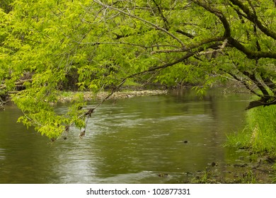 Zumbro River In Spring