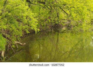 Zumbro River In Spring