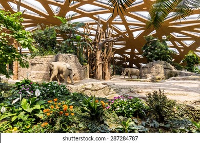 Royalty Free Zurich Zoo Stock Images Photos Vectors Shutterstock