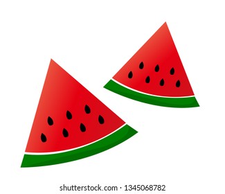 watermelon　vector　illustration