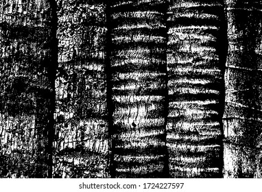Splintered fence raw saw lumber. Rough surface uneven wooden exposed. Rural environment from cut cracked panels. Ruined abandoned ancient structure, rustic deserted palms black white for 3d design