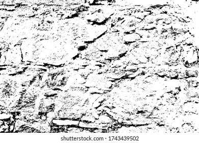 Old ruined shabby front protection wall. Bumpy worn crashed facade citadel. Wrecked partition of courtyard church. Vintage chipped stone fence of backyard mansion. Grungy spotted barrier ghetto for 3d