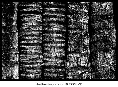 Relief vertical trunks palm facade. Old shabby gnarled dirty rind of ancient rural country wooden raw siding.Messy aged rustic laths. Grungy pitted knotted cracked log retro fence for ranch hut design