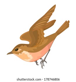 0range bird in flight vector illustration