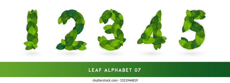 1 2 3 4 5 Realistic green leaves eco alphabet set. Greenery leaf elements font concept isolated on white background. Vector illustration