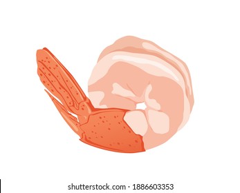 1 Cooked shrimp isolated on white background.