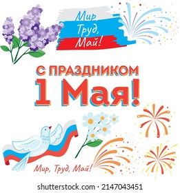 1 May. International Labor Day. Russia. Lettering text in Russian: "Happy holiday 1 May! Peace Labor May!" Flowers, pigeon and fireworks.