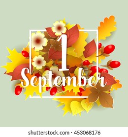 1 September Autumn Background. Bright autumn birch, oak, maple, chestnut leaves and berry with flowers light background. Square frame. Vector illustration. Back to school.