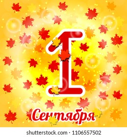 1 September. Knowledge Day in Russia. Concept of a holiday. Text in Russian - September 1. Maple leaves, Gold background. Bright design for posters and banners