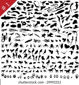 # 1 set of  different animals, birds, insects and fishes  vector silhouettes