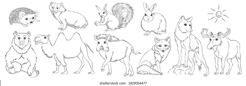 10 Animals - bear, camel, elk, wild boar, wolf, fox, hedgehog, raccoon, hare, squirrel. Coloring Page vector. Coloring book anti-stress for adults and children. Black and white.