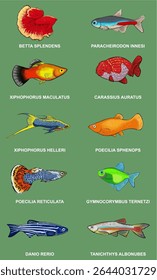 10 Aquarium Fish Vector with Scientific Names