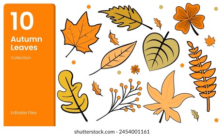 10 autumn leaves illustration design Collection of fallen leaves in spring on a white background.