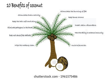 10 benefits of coconut, healthy concept