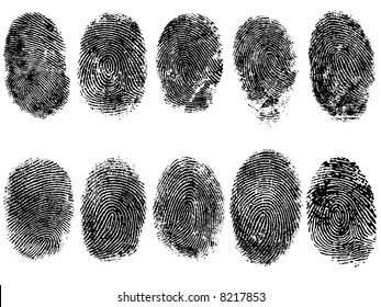 10 Black and White Vector Fingerprints - Very accurately scanned and traced ( Vector is transparent so it can be overlaid on other images, vectors etc.)