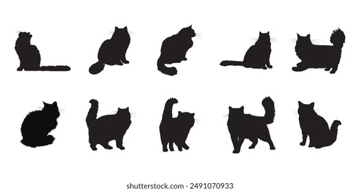 10 Cat Silhouette Vector Set